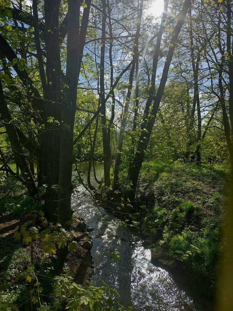 Photograph by Татьяна