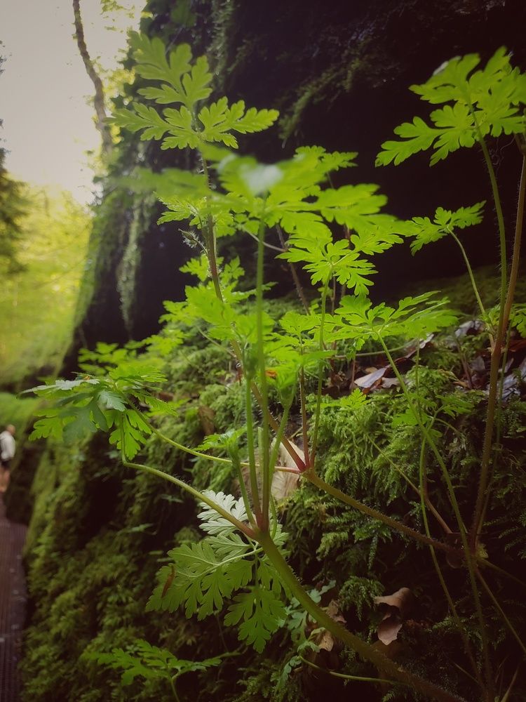 Photograph by Татьяна