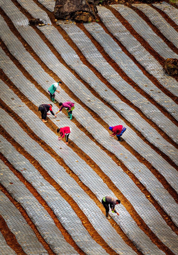 Photograph by Hanh P. T. Pham