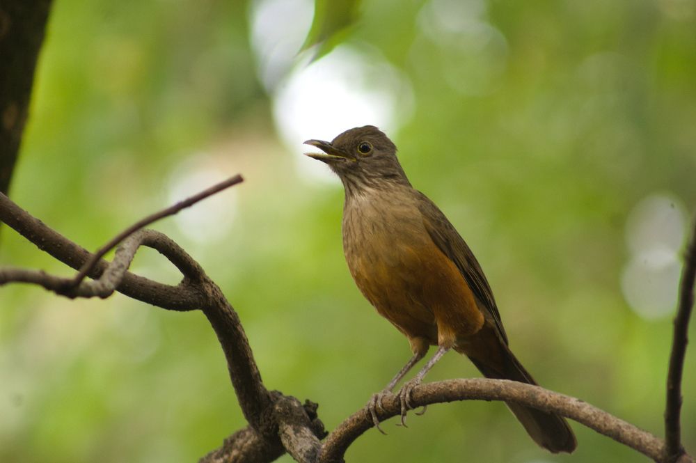 Photograph by Guillermo Topp