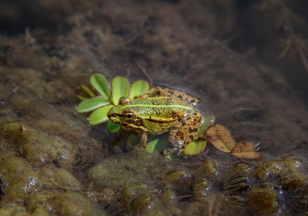 Photograph by Ольга Остапенко