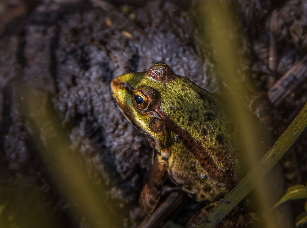 Photograph by Ольга Остапенко