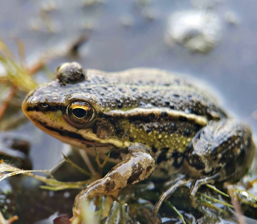 Photograph by Игорь Носков (Домненко)