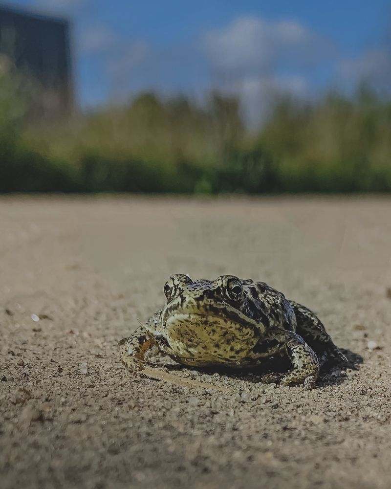 Photograph by Татьяна Гринько