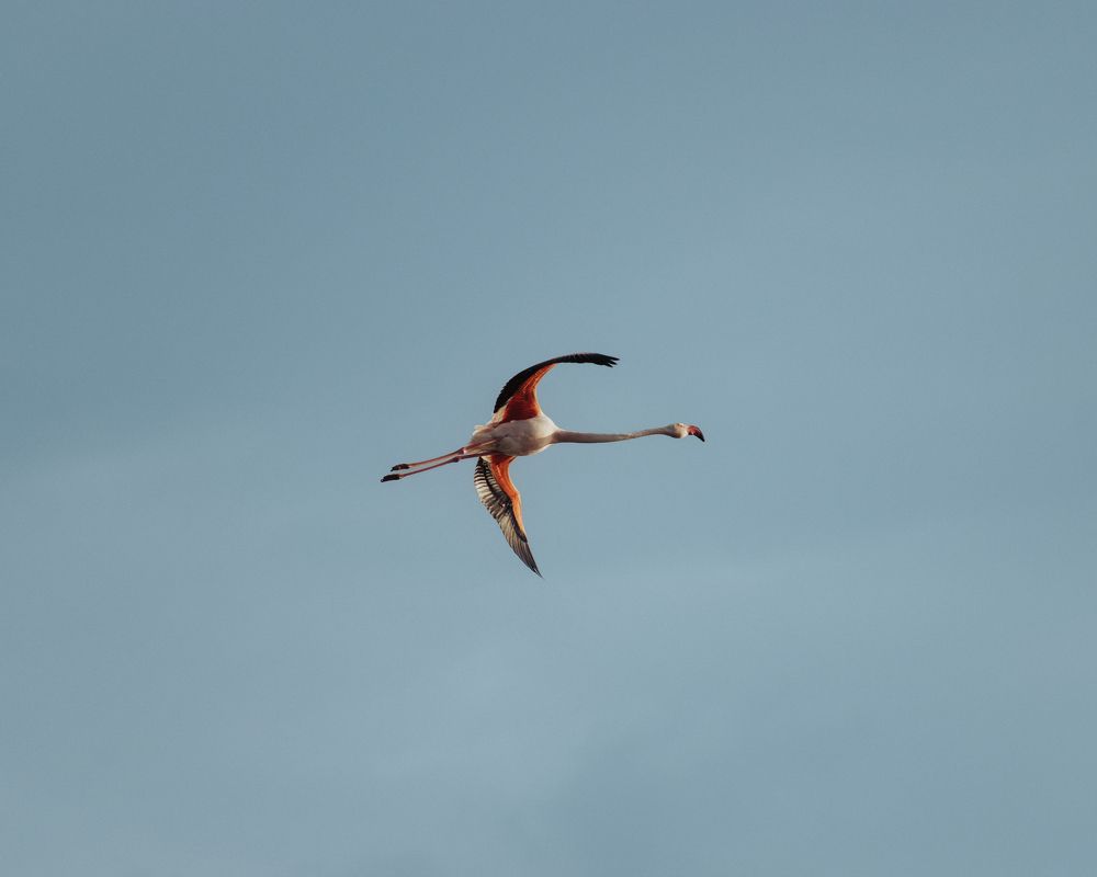 Photograph by Mazen Abdennadher