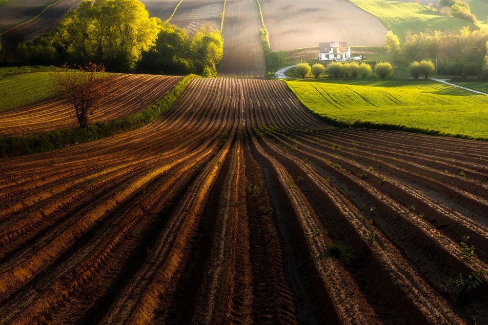 Photograph by Valentin Bițoi