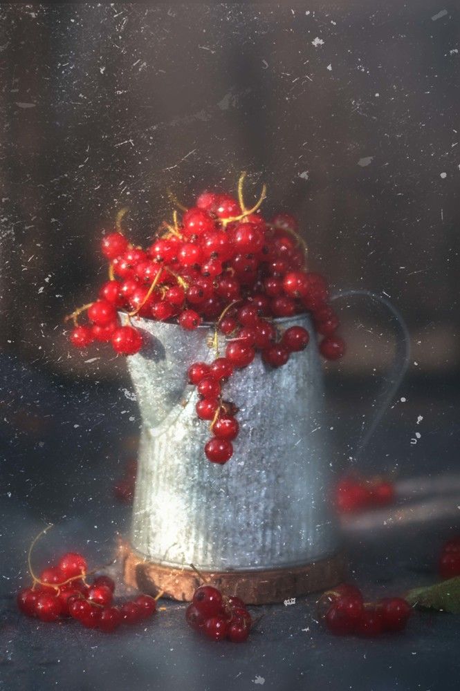 Photograph by Anna Makarenkova