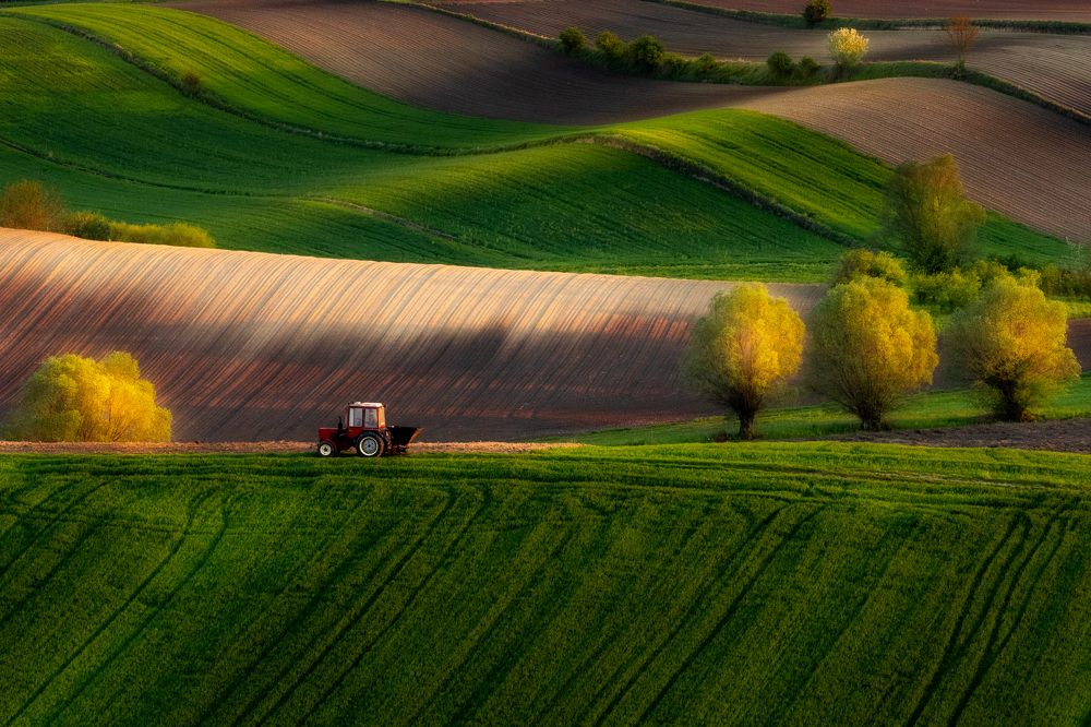 Photograph by Valentin Bițoi