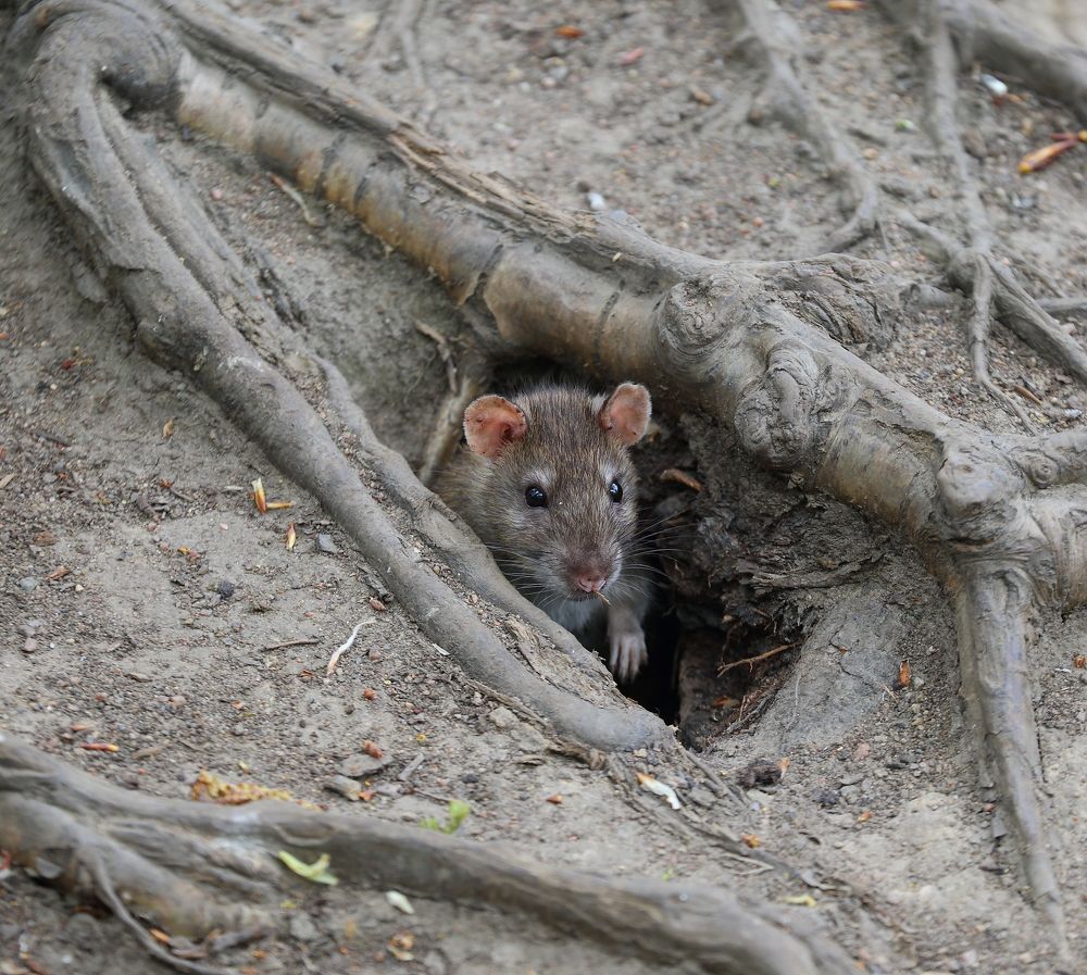 Photograph by Станислав Вершинин