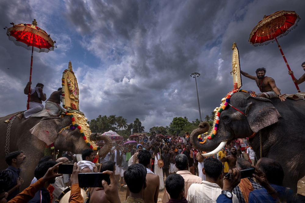 Photograph by k Ravi Reju