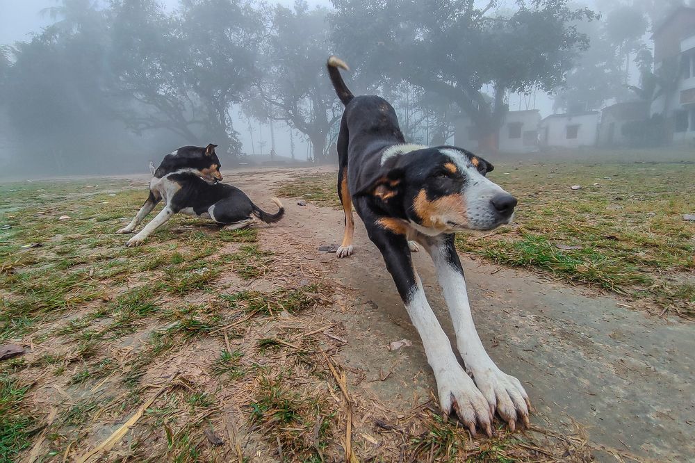 Photograph by Debjyoti Sarkar