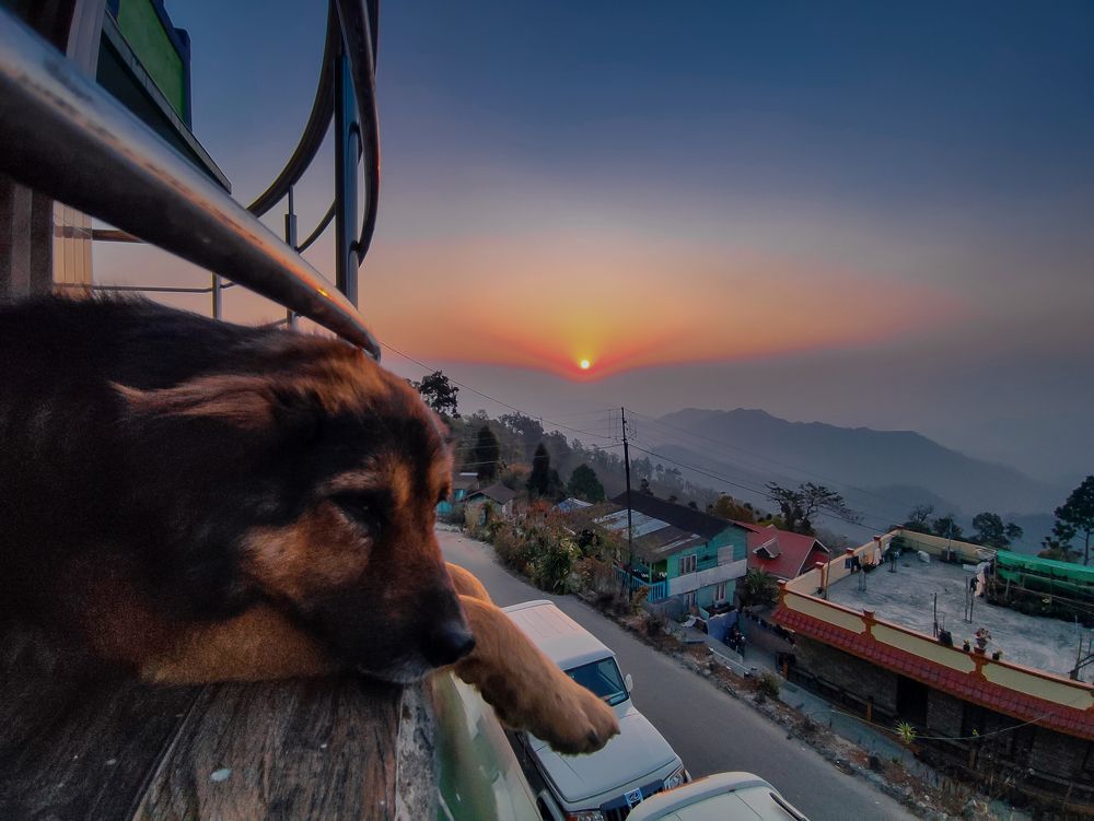 Photograph by Debjyoti Sarkar