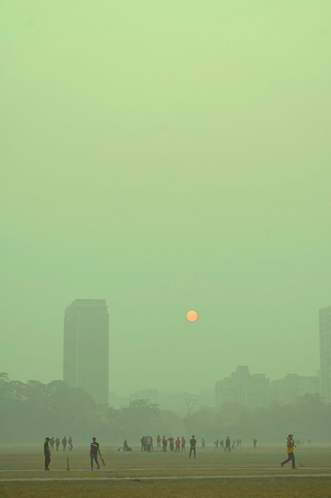 Photograph by Trisha Sarkhel