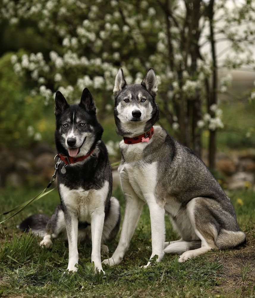 Photograph by Елена Одынец