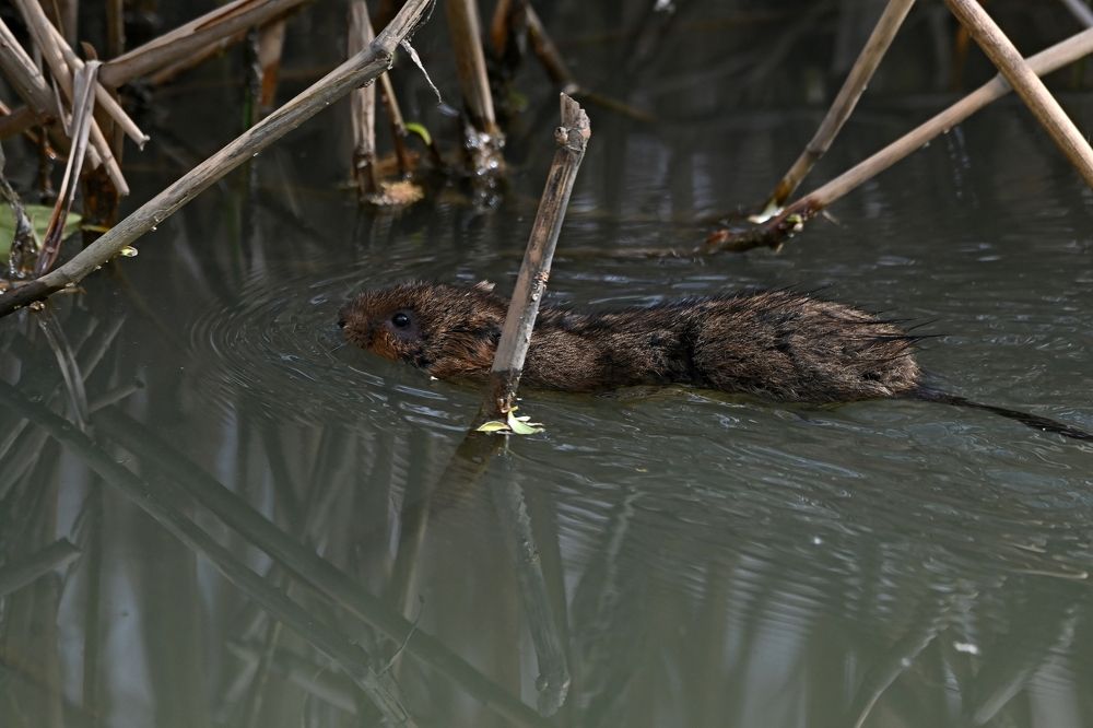 Photograph by Алексей Гордеев