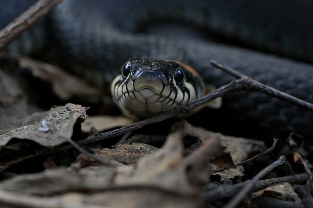 Photograph by Алексей Гордеев