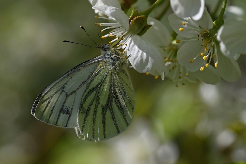 Photograph by Алексей Гордеев