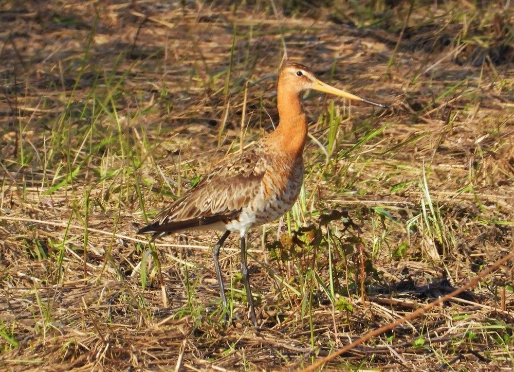 Photograph by Владимир Джерихов