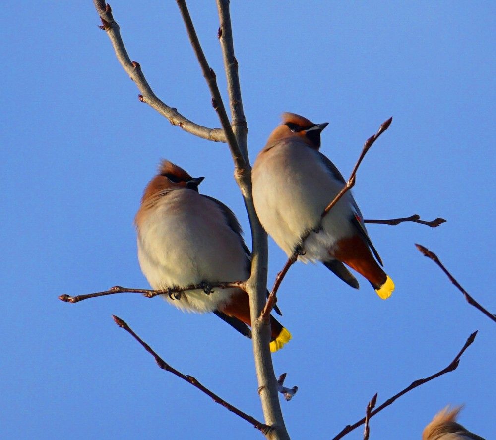 Photograph by Михаил Трусов