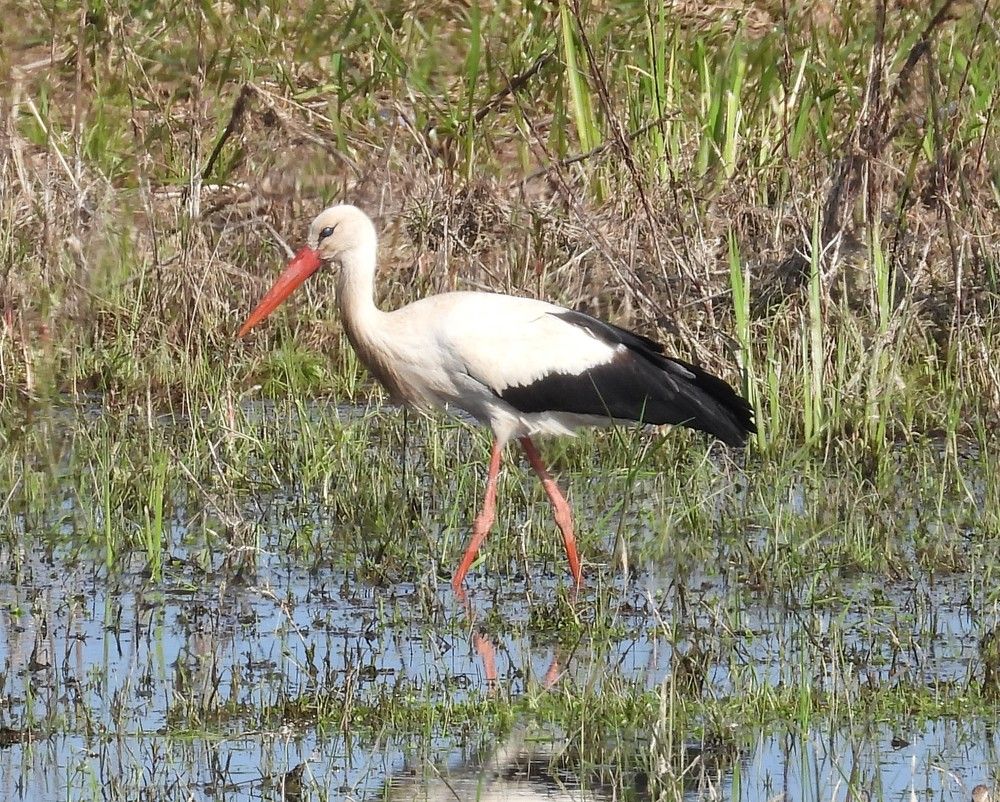Photograph by Владимир Джерихов