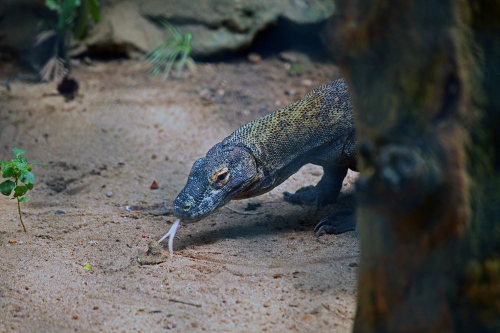 Photograph by Алексей Амилющенко
