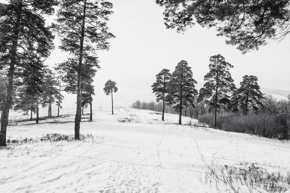 Photograph by Arkhipov