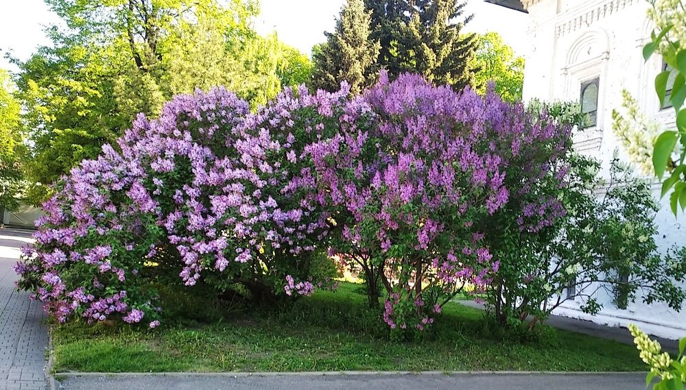 Photograph by Анна Виноградова