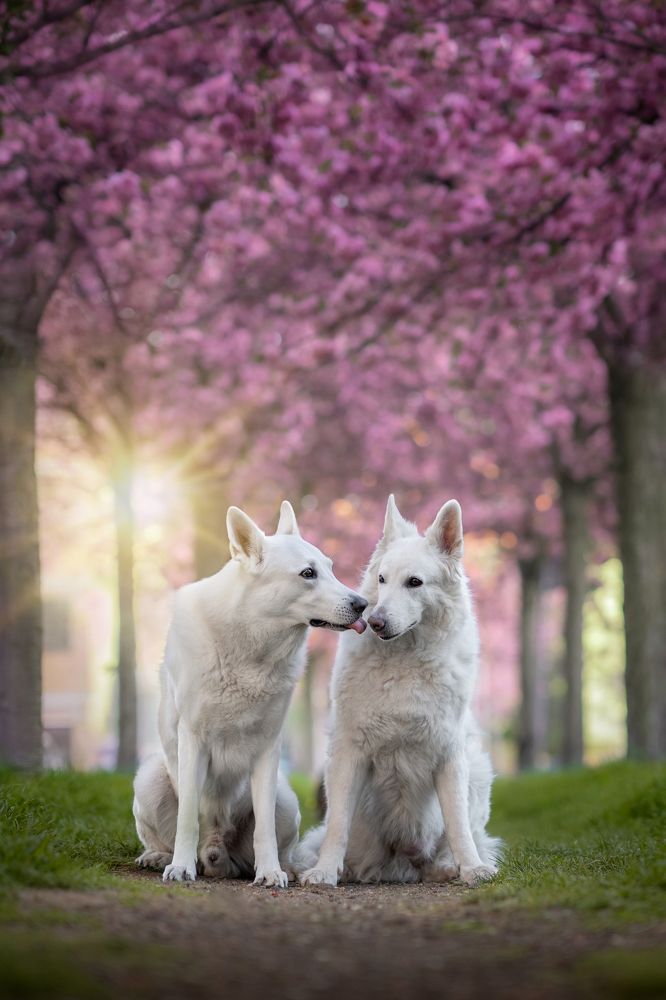 Photograph by Lucia Drietomska