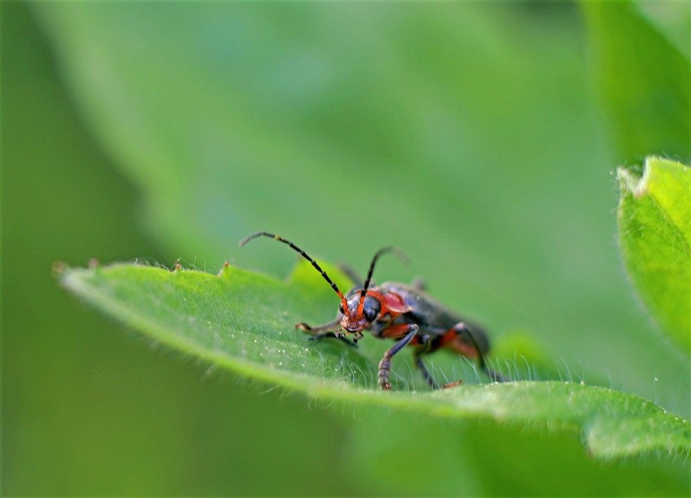Photograph by Алексей Сиваков