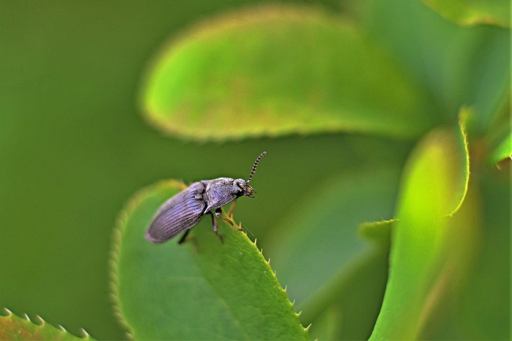 Photograph by Алексей Сиваков