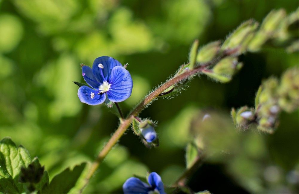 Photograph by Алексей Сиваков