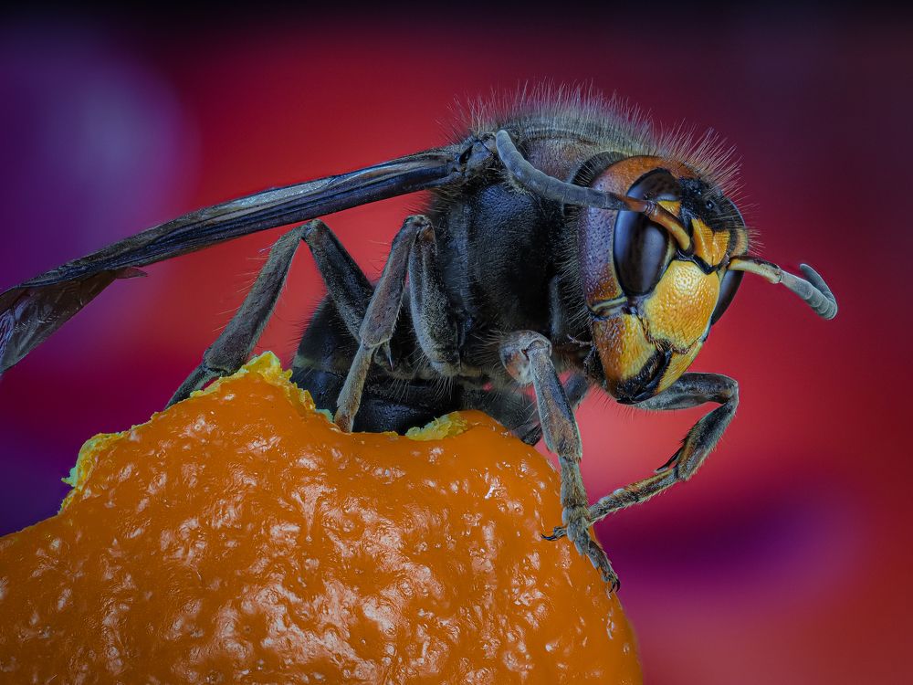 Photograph by савицкий олег