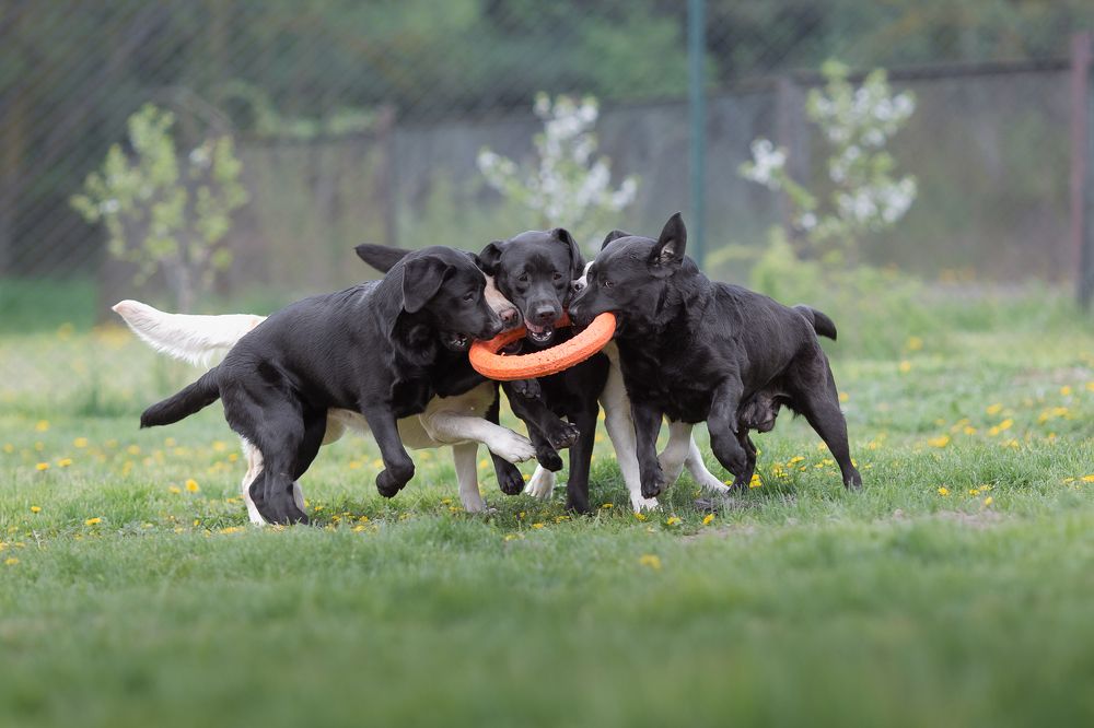 Photograph by Alesia