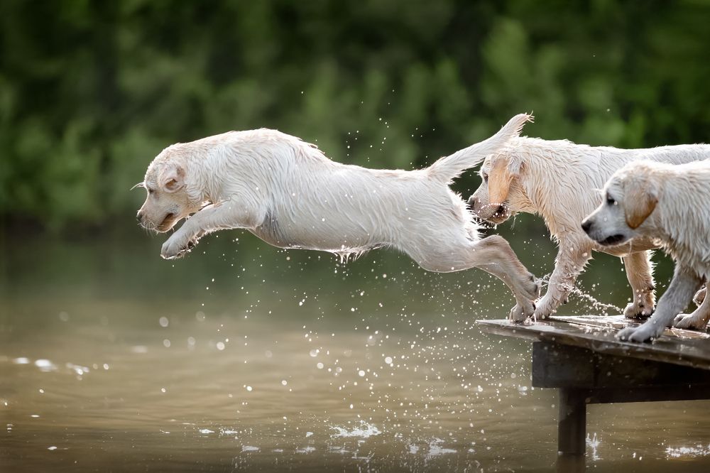 Photograph by Alesia