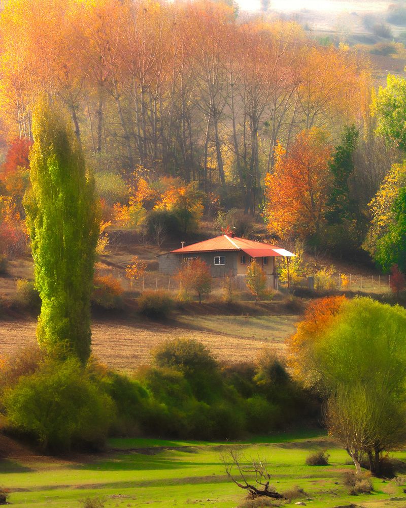 Photograph by mohsen biazar