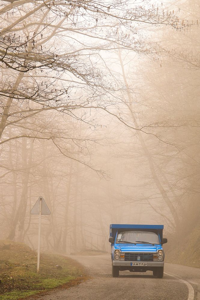 Photograph by mohsen biazar