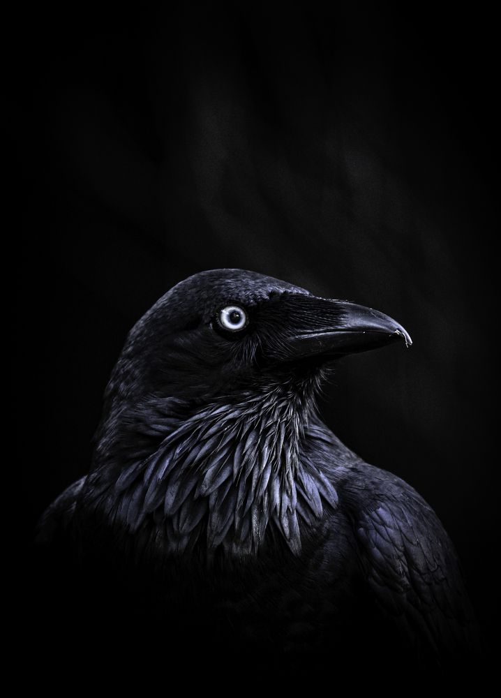 Photograph by Graham Earnshaw