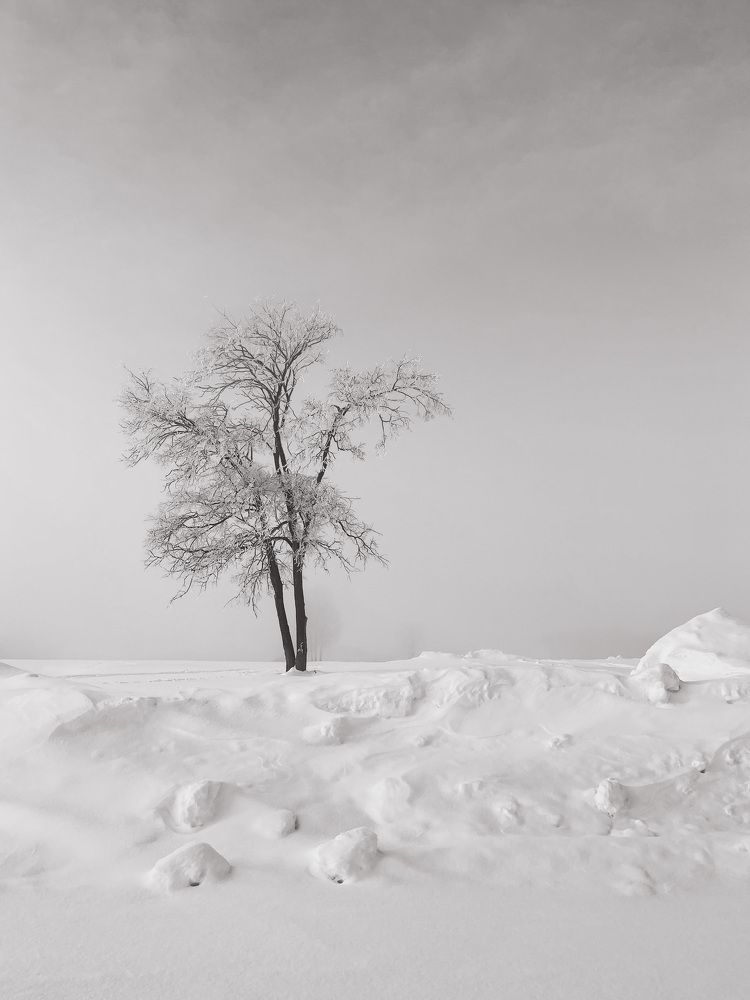 Зимний Суздаль