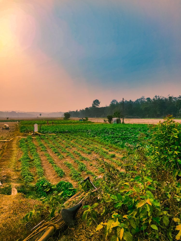Photograph by Saikat Das