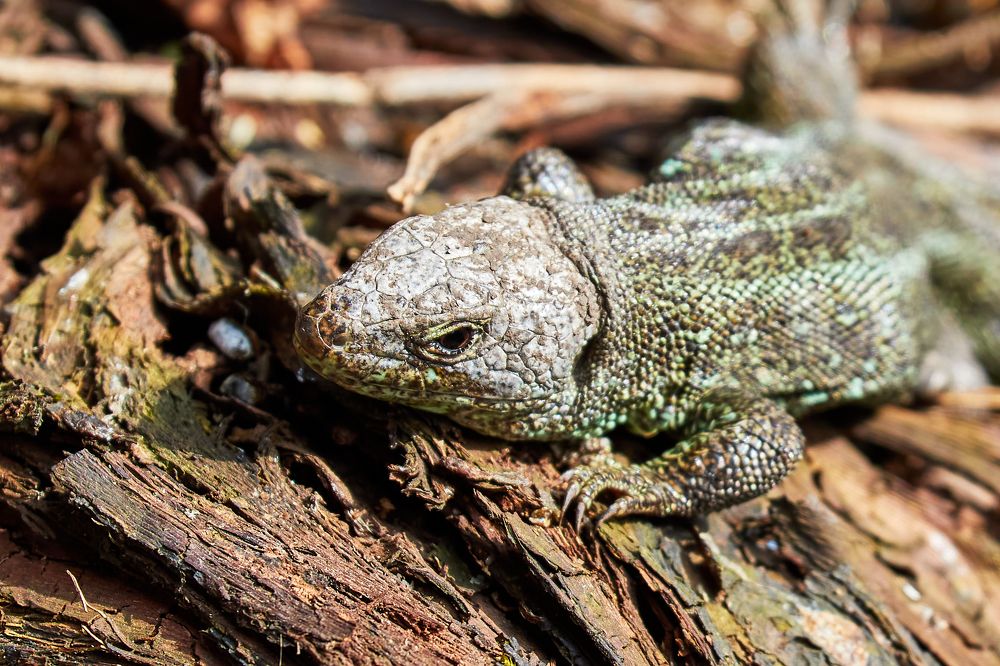 Photograph by Андрей Востриков