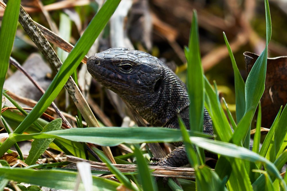 Photograph by Андрей Востриков