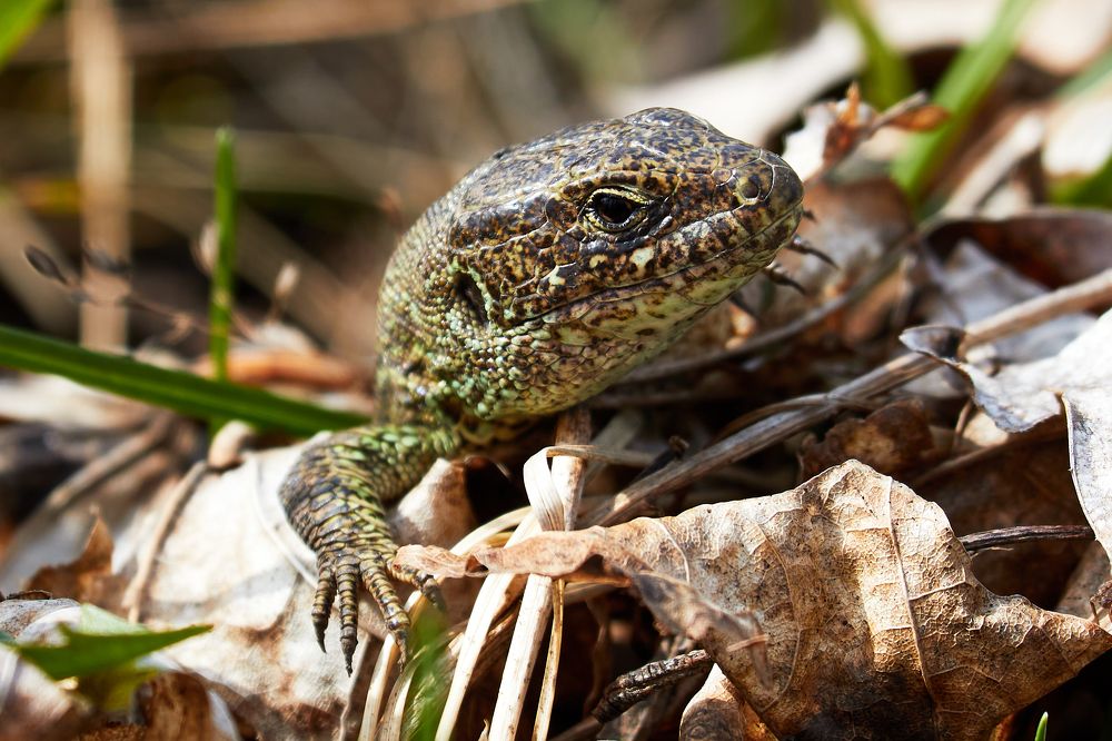 Photograph by Андрей Востриков