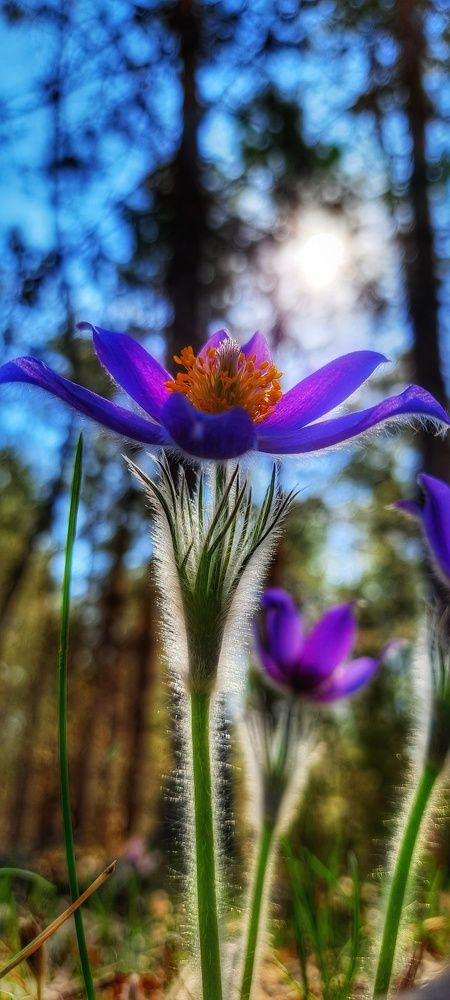 Photograph by Анна