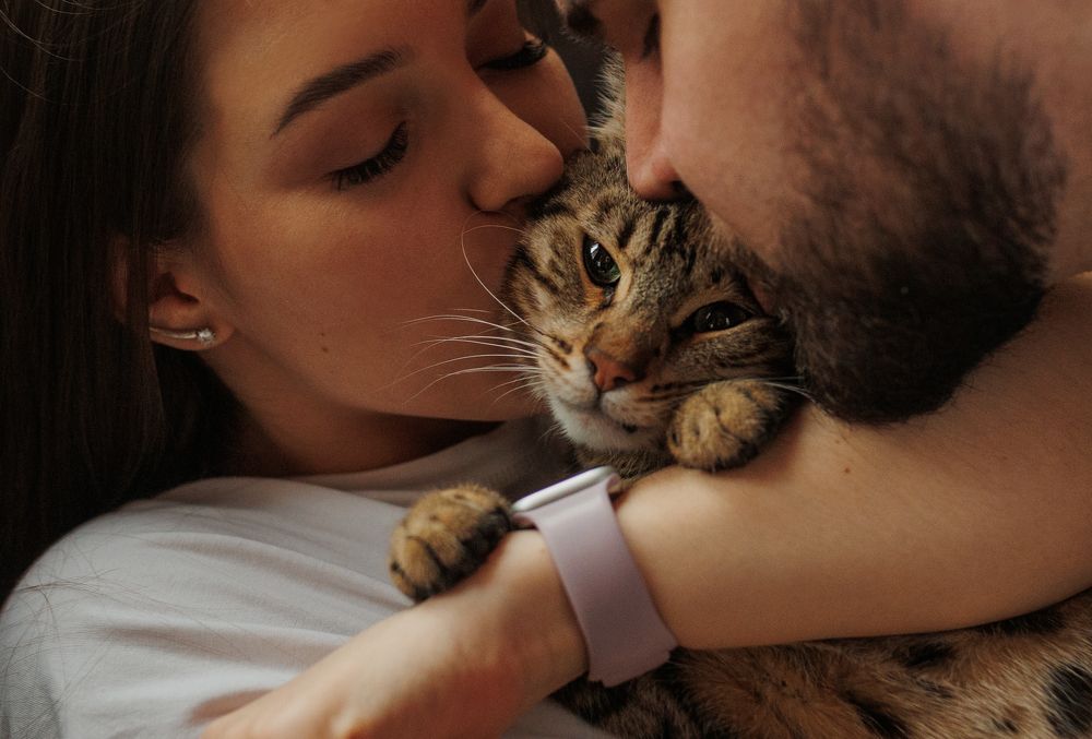 Photograph by Алина Иванова