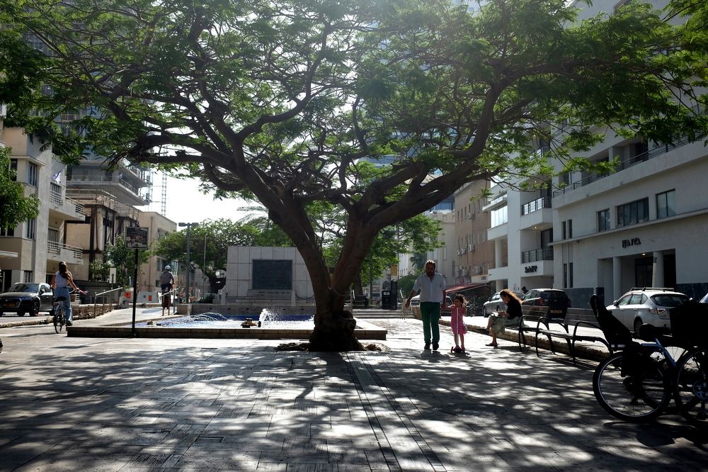 The Rotshild Blvd. (Tel-Aviv)