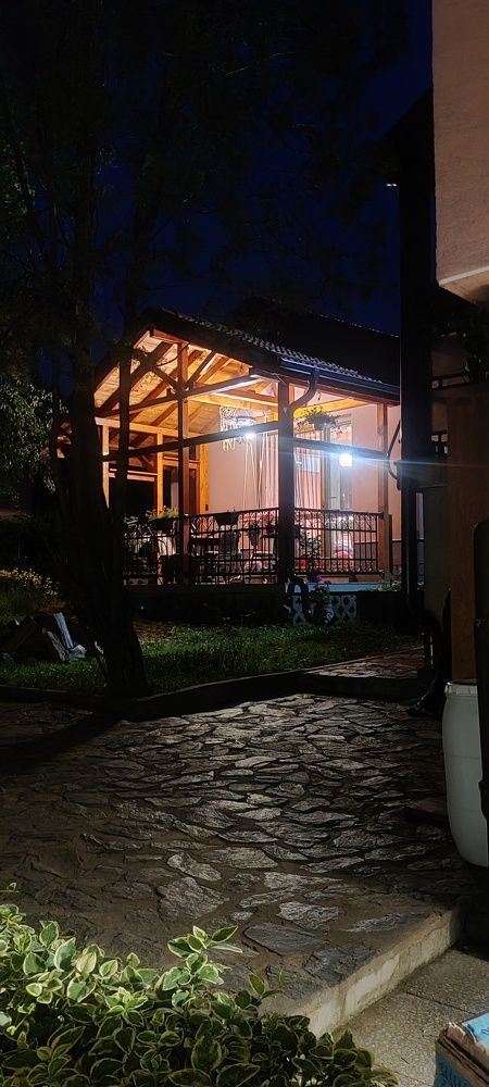 Photograph by Radoslav Stefanov