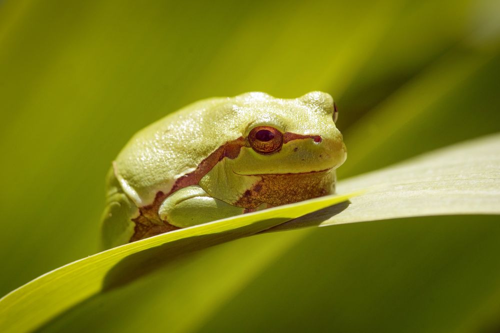 Photograph by Сергей Прокофьев