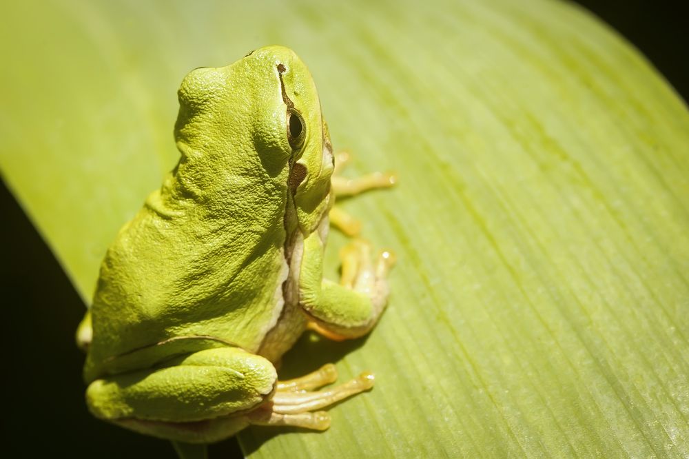 Photograph by Сергей Прокофьев