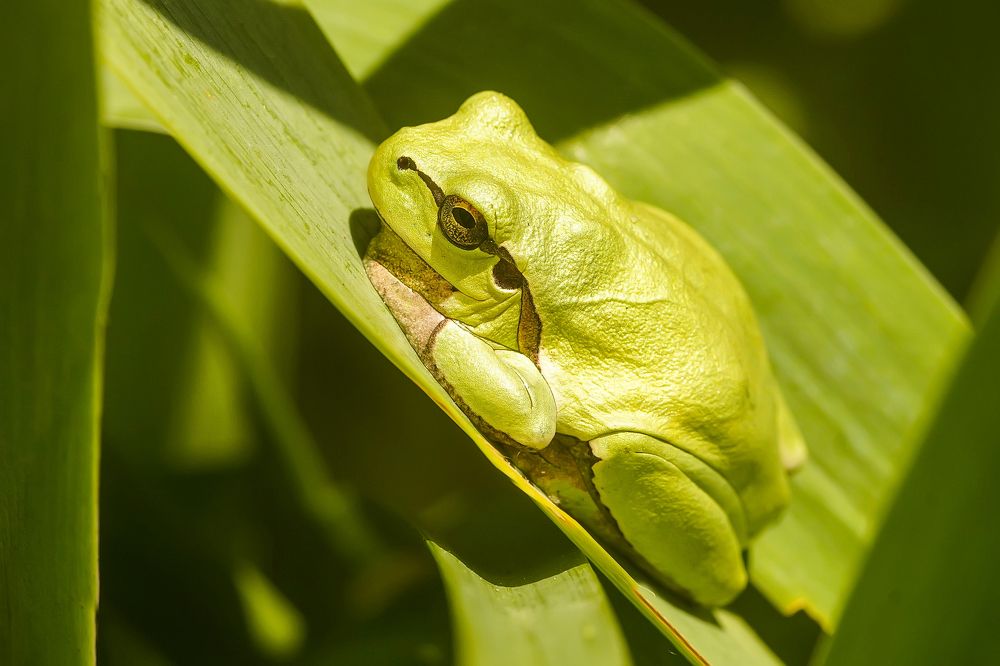 Photograph by Сергей Прокофьев