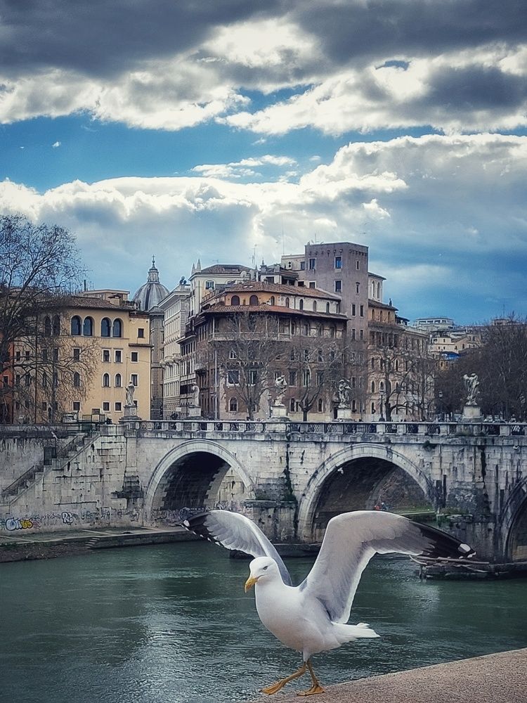 Photograph by Анжела